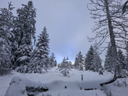 Schneeschuhwanderung Darmstädter Hütte, Januar 2026